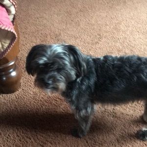 Meet your Posher, Marykate